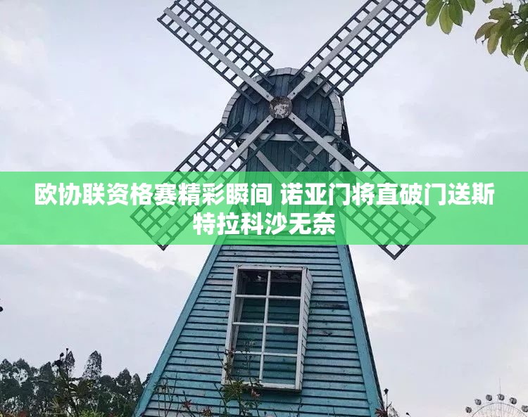 欧协联资格赛精彩瞬间 诺亚门将直破门送斯特拉科沙无奈