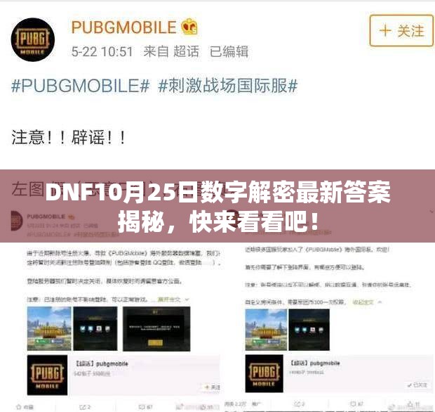 DNF10月25日数字解密最新答案揭秘，快来看看吧！