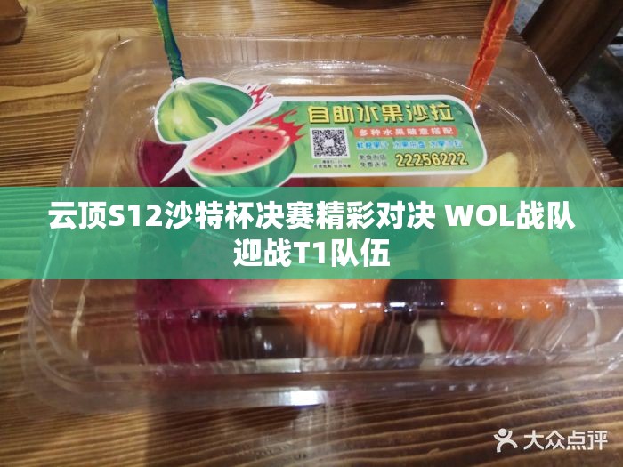 云顶S12沙特杯决赛精彩对决 WOL战队迎战T1队伍