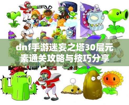 dnf手游迷妄之塔30层元素通关攻略与技巧分享