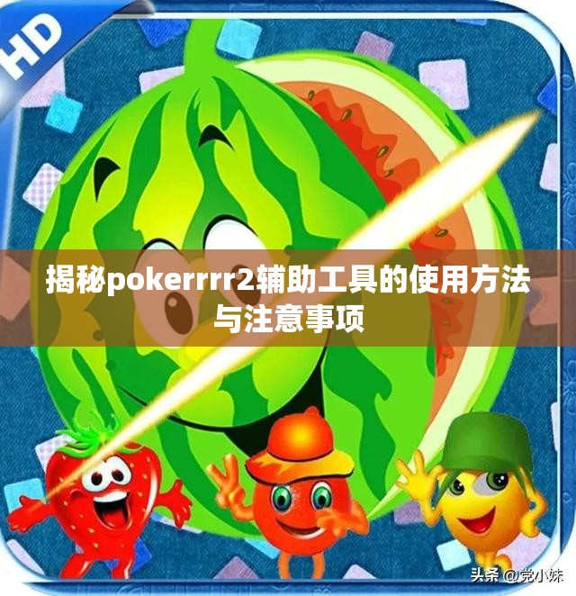 揭秘pokerrrr2辅助工具的使用方法与注意事项