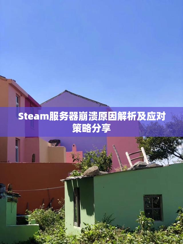 Steam服务器崩溃原因解析及应对策略分享