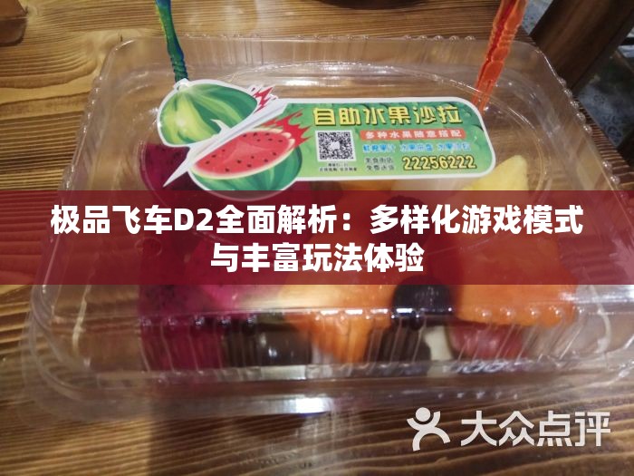 极品飞车D2全面解析：多样化游戏模式与丰富玩法体验