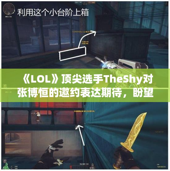 《LOL》顶尖选手TheShy对张博恒的邀约表达期待，盼望一起游戏互动