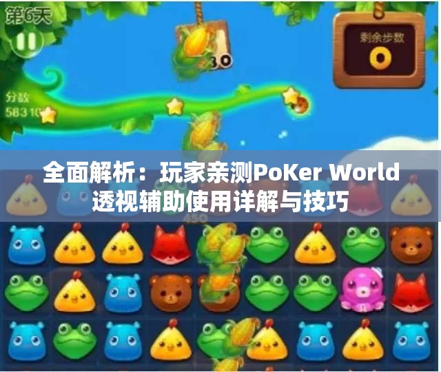 全面解析：玩家亲测PoKer World透视辅助使用详解与技巧