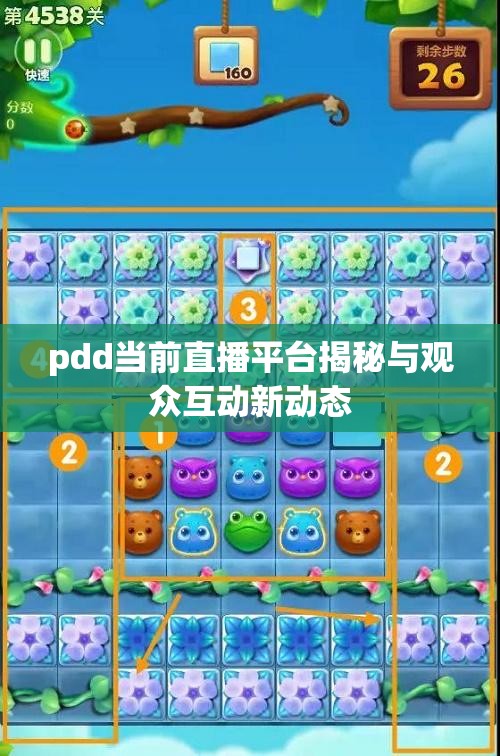 pdd当前直播平台揭秘与观众互动新动态