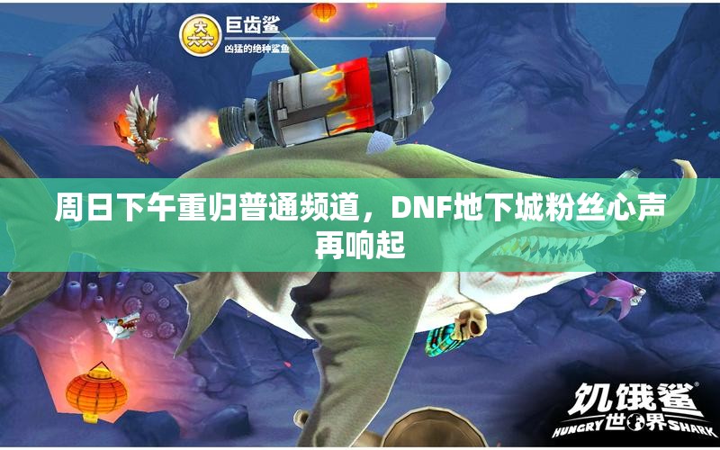 周日下午重归普通频道，DNF地下城粉丝心声再响起