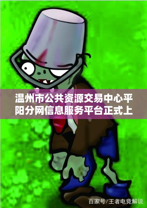 温州市公共资源交易中心平阳分网信息服务平台正式上线