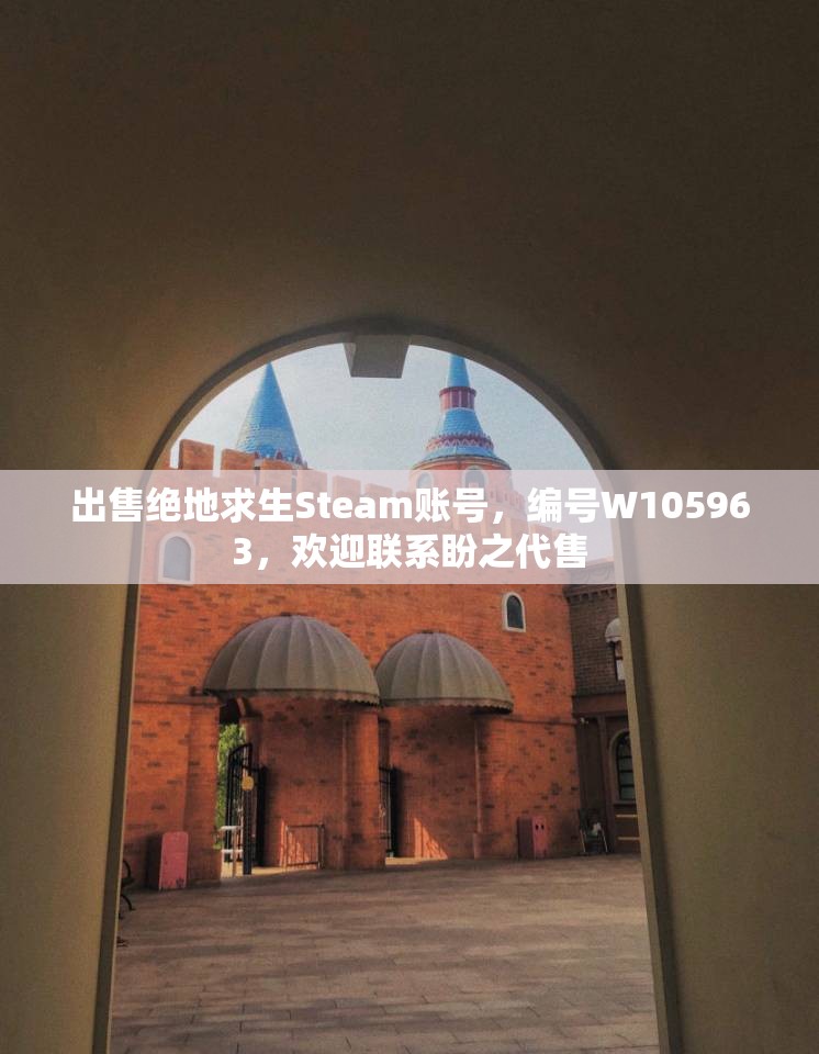 出售绝地求生Steam账号，编号W105963，欢迎联系盼之代售