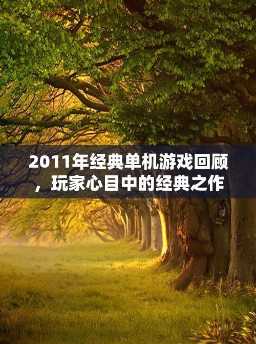 2011年经典单机游戏回顾，玩家心目中的经典之作盘点