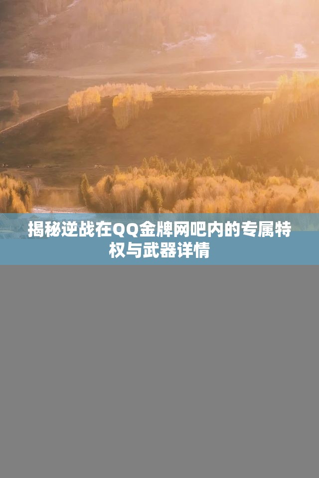 揭秘逆战在QQ金牌网吧内的专属特权与武器详情