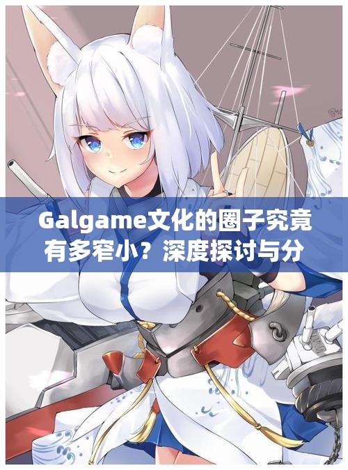 Galgame文化的圈子究竟有多窄小？深度探讨与分析