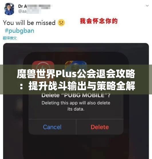 魔兽世界Plus公会退会攻略：提升战斗输出与策略全解析