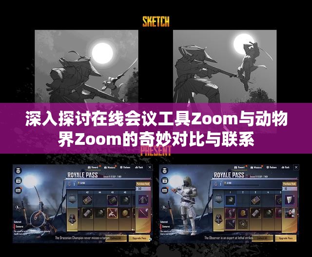 深入探讨在线会议工具Zoom与动物界Zoom的奇妙对比与联系