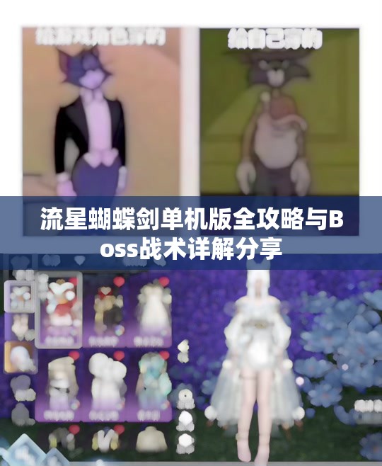 流星蝴蝶剑单机版全攻略与Boss战术详解分享