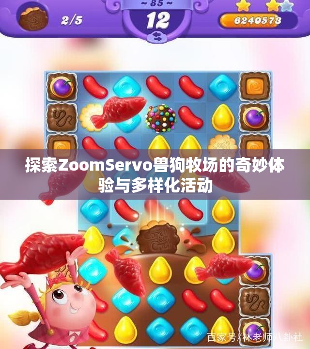 探索ZoomServo兽狗牧场的奇妙体验与多样化活动