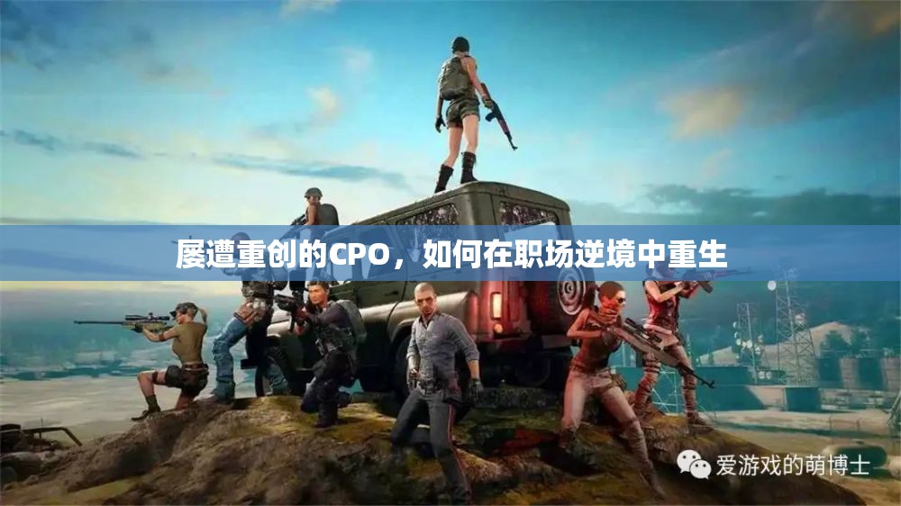 屡遭重创的CPO，如何在职场逆境中重生