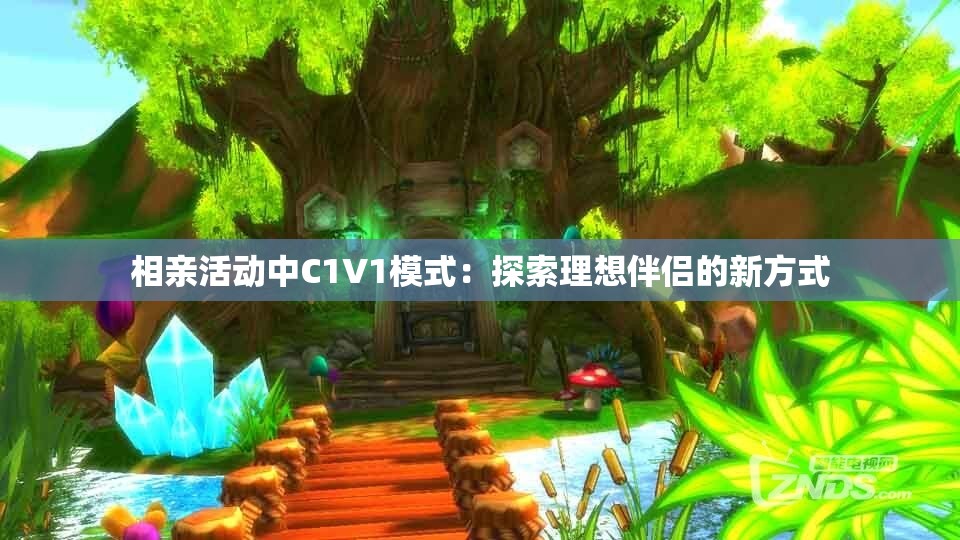 相亲活动中C1V1模式：探索理想伴侣的新方式