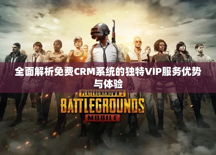 全面解析免费CRM系统的独特VIP服务优势与体验