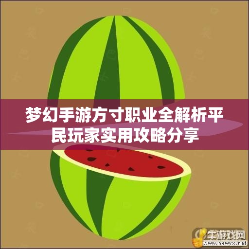 梦幻手游方寸职业全解析平民玩家实用攻略分享