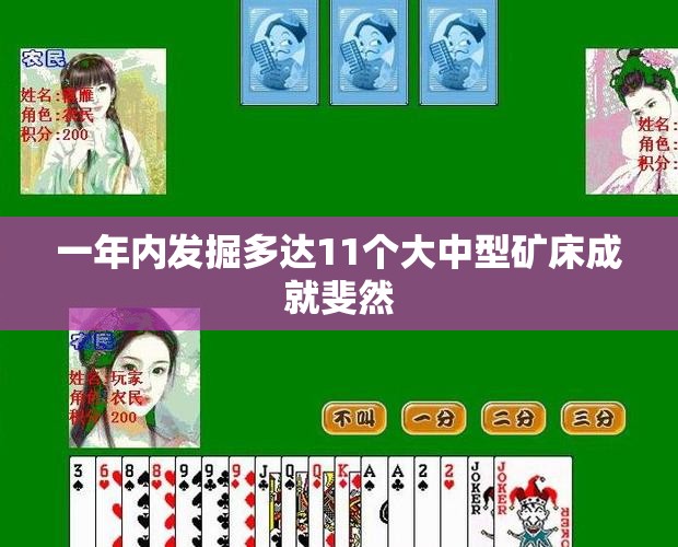 一年内发掘多达11个大中型矿床成就斐然