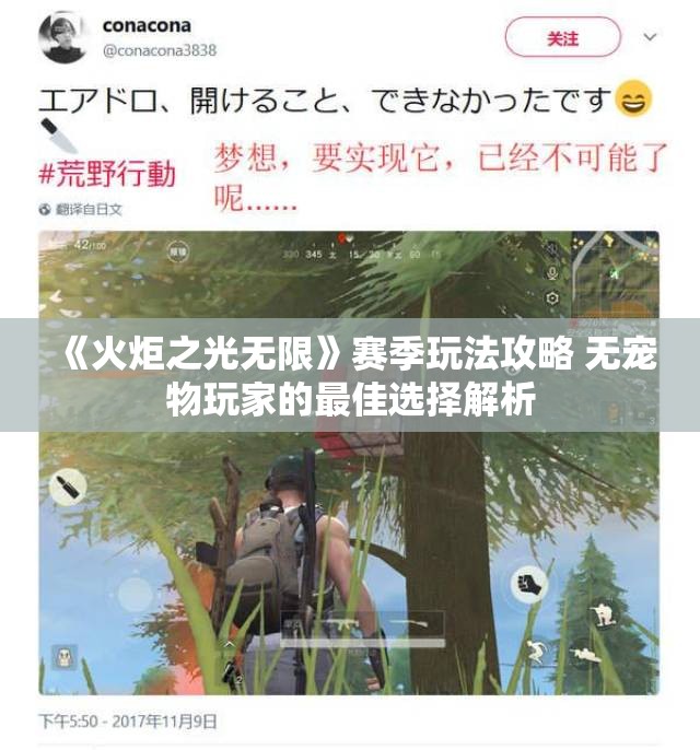 《火炬之光无限》赛季玩法攻略 无宠物玩家的最佳选择解析